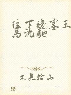 往下边塞玉器骑马沈驰封面