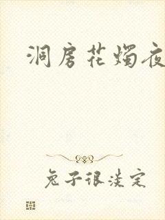 洞房花烛夜小说