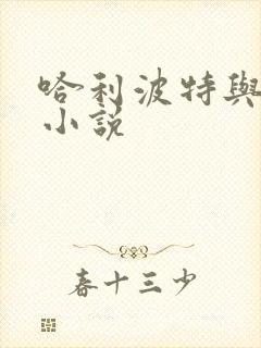 哈利波特与密室小说