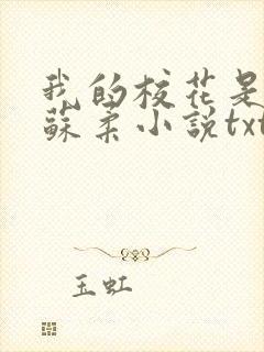 我的校花是福姬苏柔小说txt