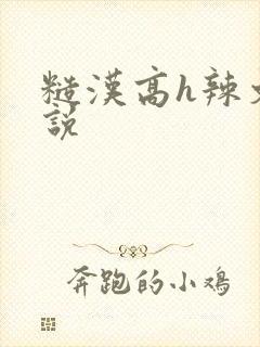 糙汉高h辣文小说