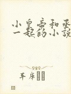 小皇帝和丞相在一起的小说封面