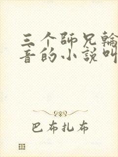 三个师兄轮流上音的小说叫什么