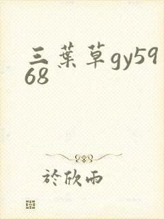 三叶草gy5968封面