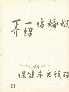 下一站婚姻剧情介绍