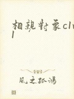 相亲对象c1v1