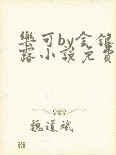 乐可by金银花露小说免费阅读封面