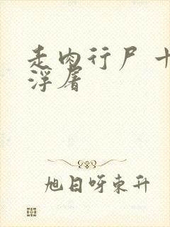 走肉行尸 十阶浮屠封面