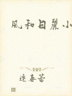 风和日丽小说封面