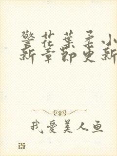 警花叶柔小说最新章节更新