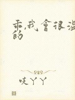 乖,我会很温柔的封面