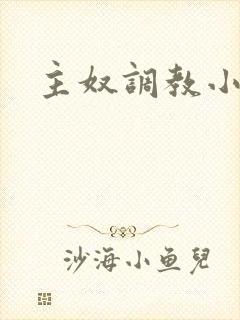 主奴调教小说封面