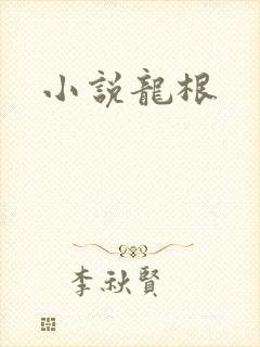 小说龙根