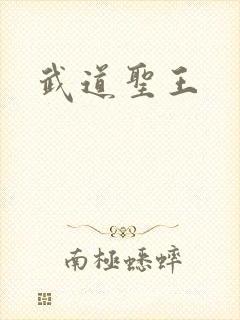 武道圣王