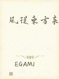 风从东方来封面