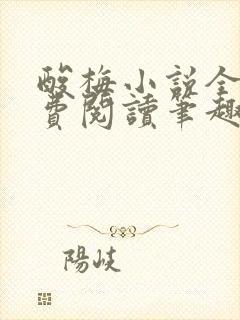 酸梅小说全文免费阅读笔趣阁