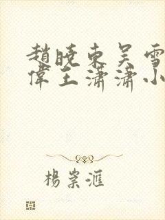 赵晓东吴雪晴郑伟王潇潇小说