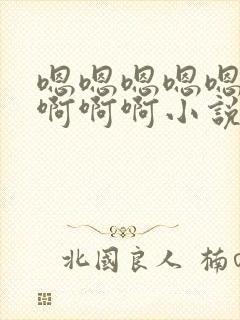 嗯嗯嗯嗯嗯啊啊啊啊啊小说封面