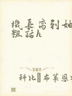 机长脔到她哭h粗话h