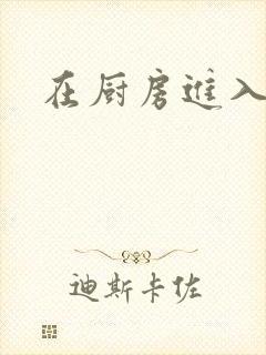在厨房进入她h