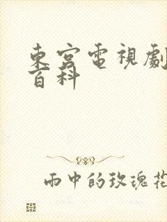 东宫电视剧百度百科封面