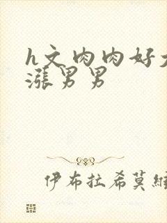 h文肉肉好大好涨男男封面