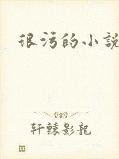 很污的小说封面
