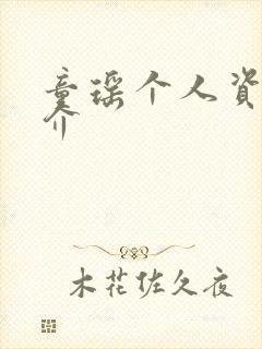 童瑶个人资料简介