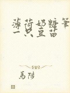 薄荷奶糖笔趣阁一只豆苗封面