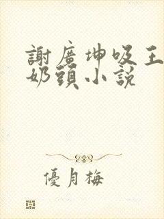 谢广坤吸王小蒙奶头小说封面