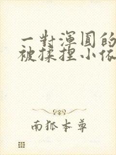 一对浑圆的胸乳被揉捏小依