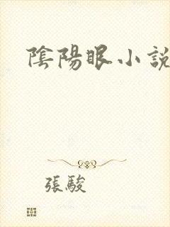 阴阳眼小说