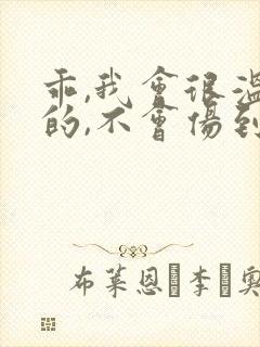 乖,我会很温柔的,不会伤到你小说封面