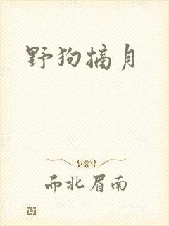 野狗摘月封面