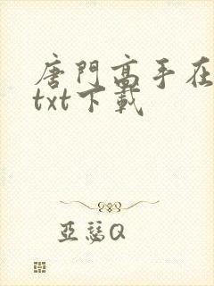 唐门高手在异世txt下载