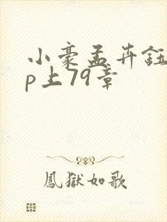 小豪孟卉钰慧三p上79章