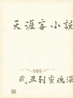 天涯客小说