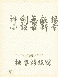 神剑无敌杨小天小说最新章节帝