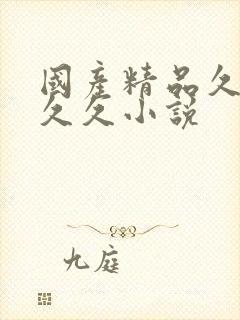 国产精品久久久久久小说