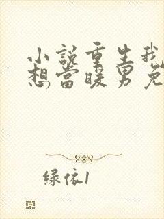 小说重生我真没想当暖男免费阅读