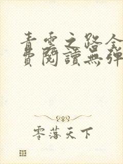 青云之路全文免费阅读无弹窗封面