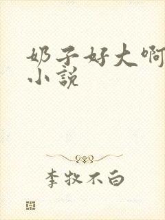 奶子好大啊嗯嗯小说