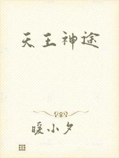 天王神途封面