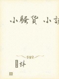 小骚货 小说