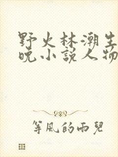 野火林潮生林晚晚小说人物野火