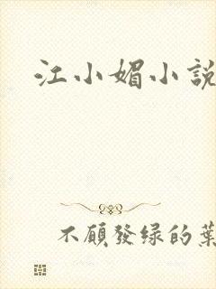 江小媚小说
