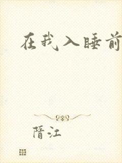 在我入睡前封面