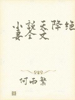 小说天降绝美娇妻全文