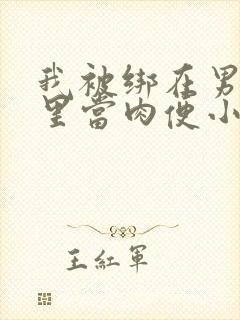 我被绑在男公厕里当肉便小说