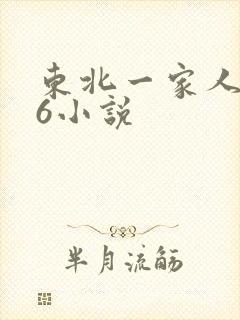 东北一家人1一6小说